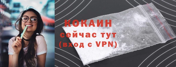 молекула духа Козловка