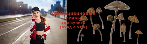герыч Арсеньев