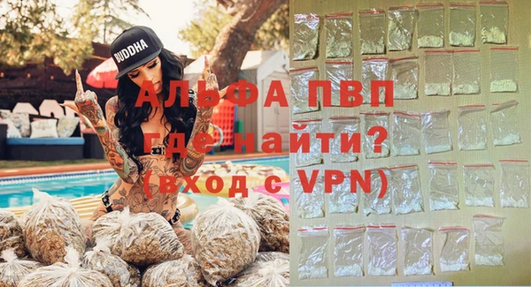 стаф Алексин