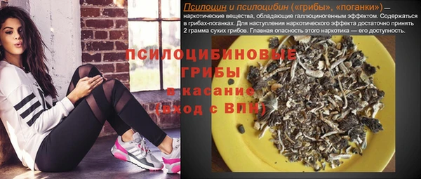 дурь Аркадак