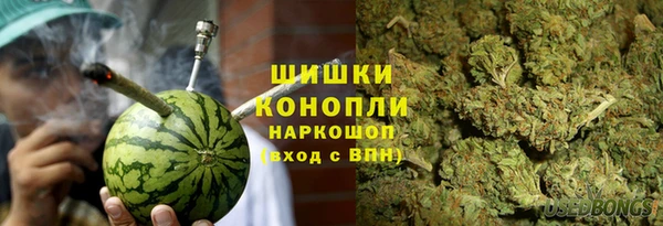 ПСИЛОЦИБИНОВЫЕ ГРИБЫ Баксан