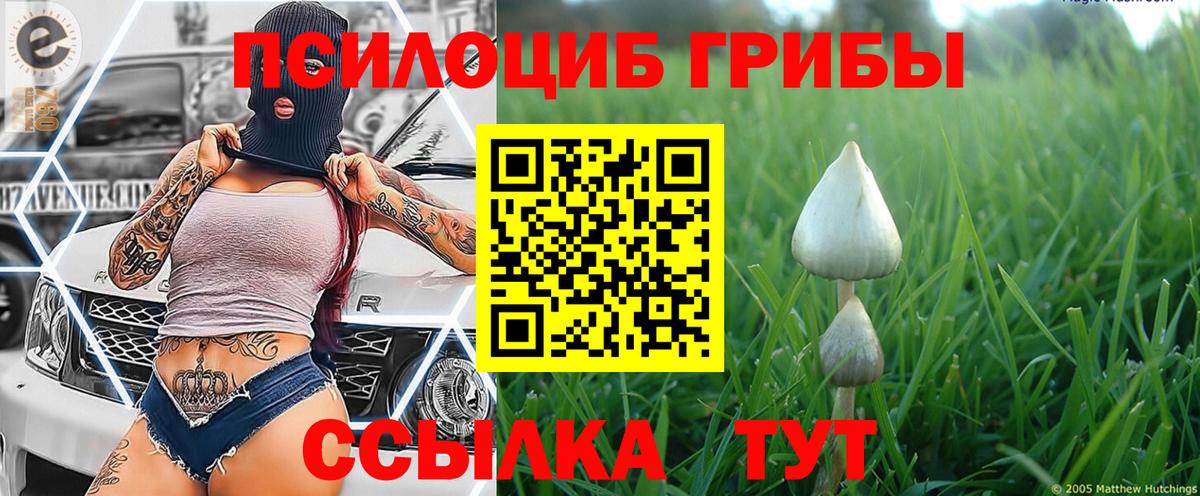 Кокаин  ЭКСТАЗИ  МЕТ  ТГК  Вход с VPN  НБОМе  ГАШИШ  Старая Купавна  A PVP СОЛЬ кристаллы  МЕФ кристаллы 