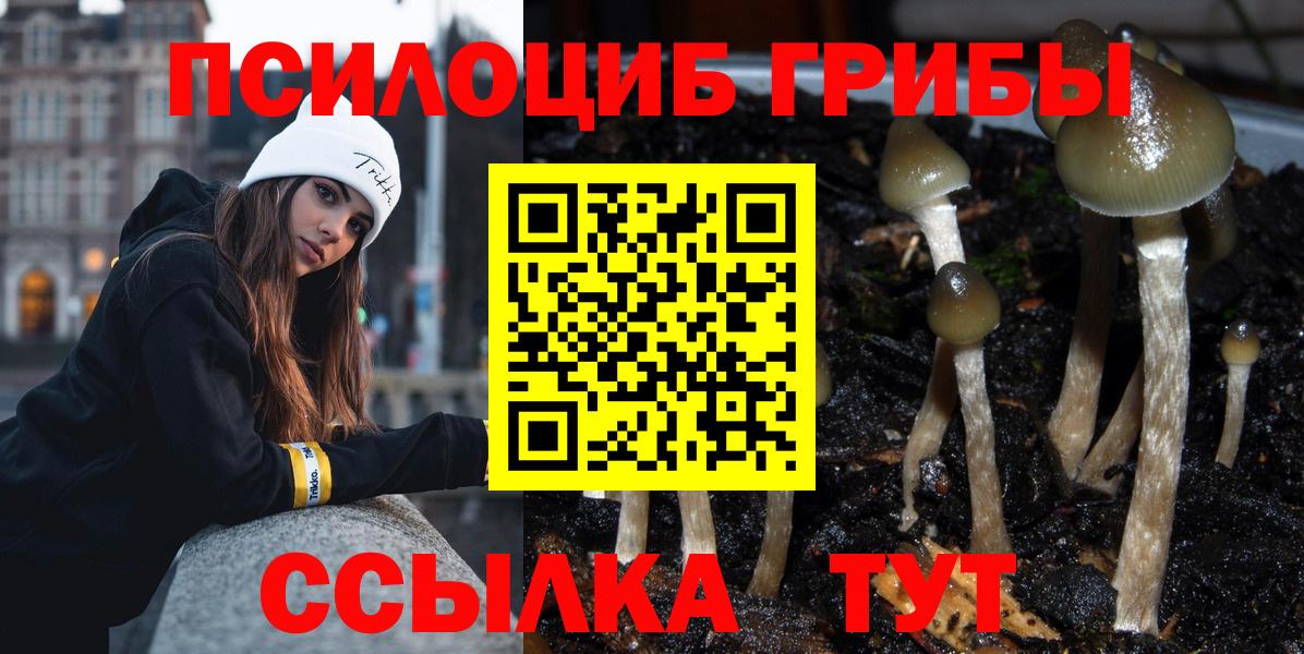 Галлюциногенные грибы Psilocybine cubensis Старая Купавна